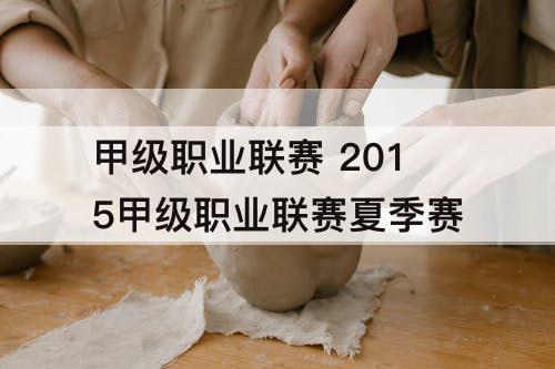甲级职业联赛 2015甲级职业联赛夏季赛