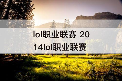 lol职业联赛 2014lol职业联赛