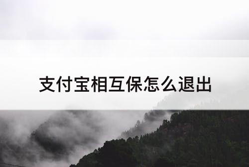 支付宝相互保怎么退出