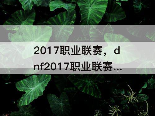2017职业联赛，dnf2017职业联赛温柔采访