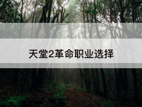 天堂2革命职业选择