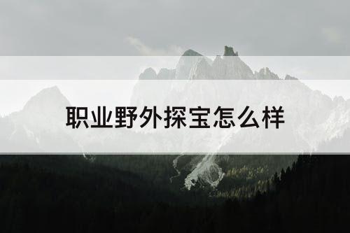 职业野外探宝怎么样
