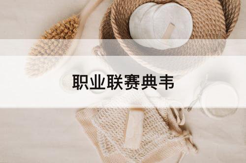 职业联赛典韦