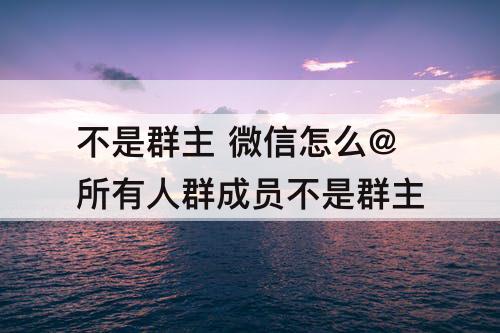 不是群主 微信怎么@所有人群成员不是群主