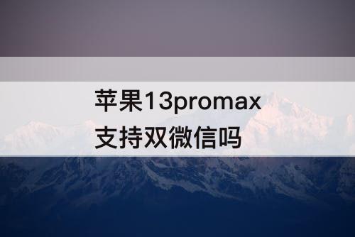 苹果13promax支持双微信吗