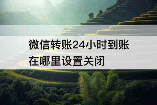 微信转账24小时到账在哪里设置关闭