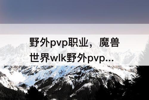 野外pvp职业，魔兽世界wlk野外pvp职业