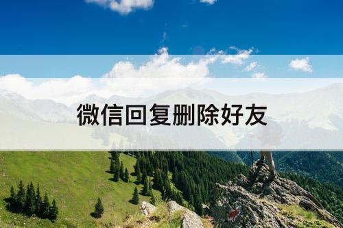 微信回复删除好友