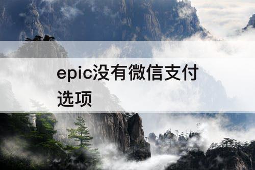 epic没有微信支付选项