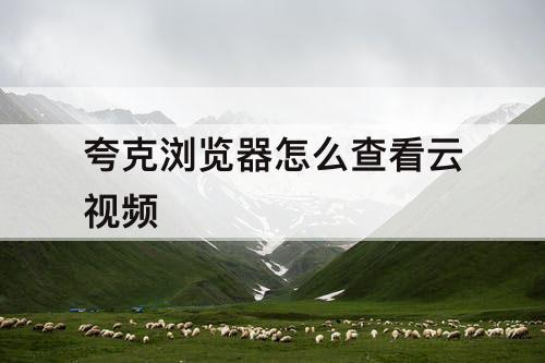 夸克浏览器怎么查看云视频