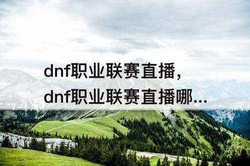 dnf职业联赛直播，dnf职业联赛直播哪里能看