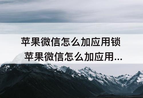 苹果微信怎么加应用锁 苹果微信怎么加应用锁13p