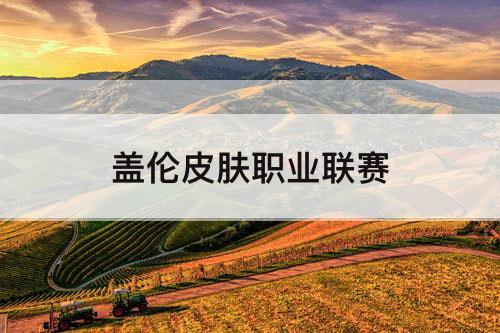 盖伦皮肤职业联赛