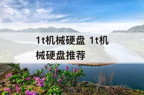 1t机械硬盘 1t机械硬盘推荐