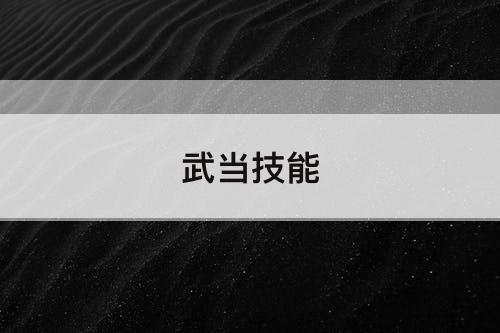 武当技能