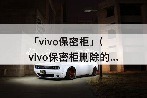 「vivo保密柜」(vivo保密柜删除的照片视频怎么找回)