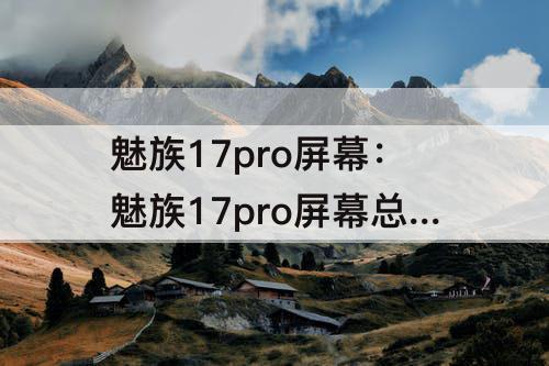 魅族17pro屏幕：魅族17pro屏幕总成值得换吗
