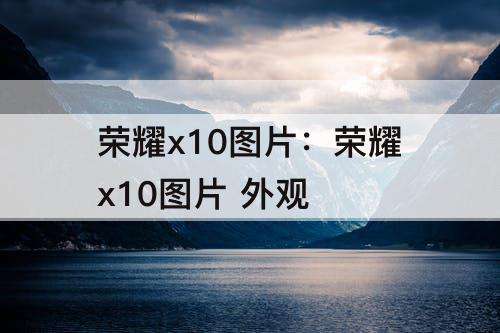 荣耀x10图片：荣耀x10图片 外观