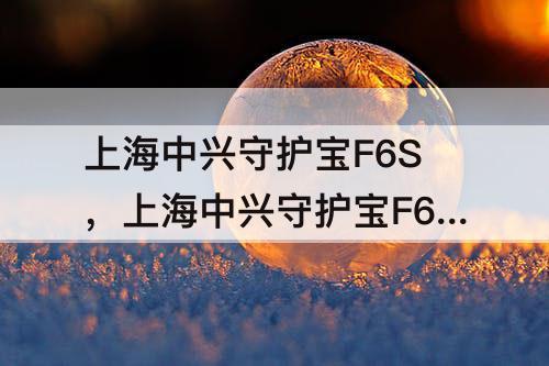 上海中兴守护宝F6S，上海中兴守护宝F6S全网通8+128G