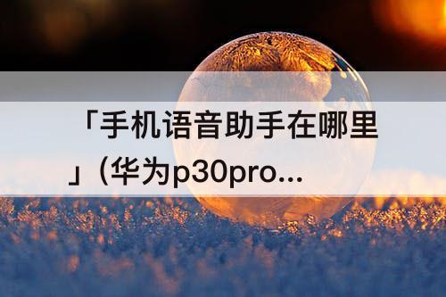 「手机语音助手在哪里」(华为p30pro手机语音助手在哪里设置)