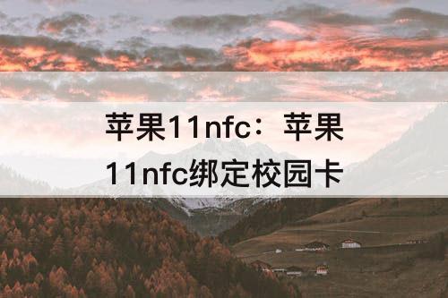 苹果11nfc：苹果11nfc绑定校园卡