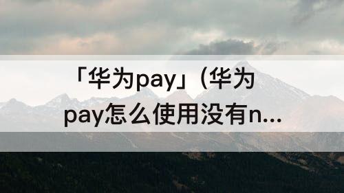 「华为pay」(华为pay怎么使用没有nfc)