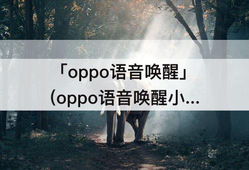 「oppo语音唤醒」(oppo语音唤醒小布)