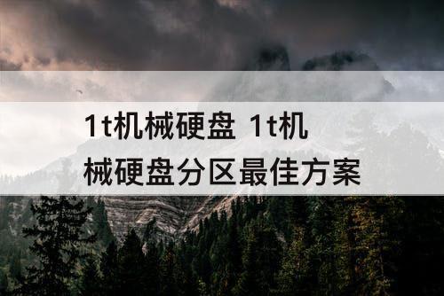 1t机械硬盘 1t机械硬盘分区最佳方案