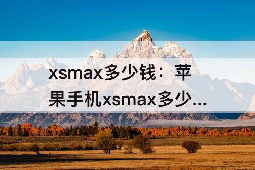 xsmax多少钱：苹果手机xsmax多少钱一部