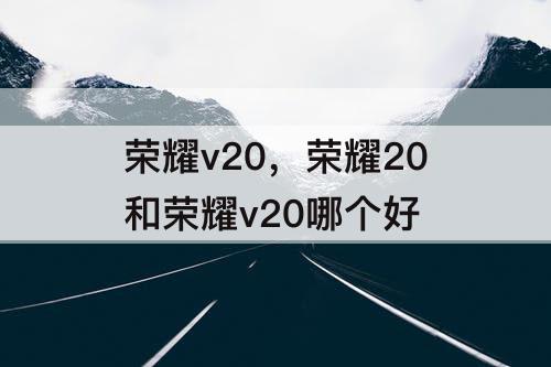 荣耀v20，荣耀20和荣耀v20哪个好