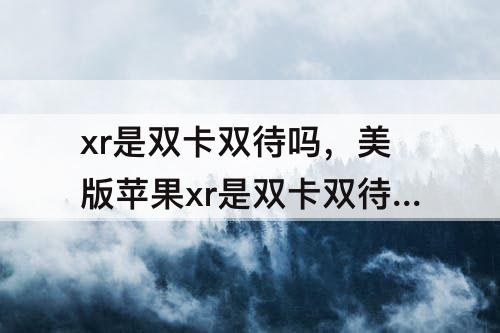 xr是双卡双待吗，美版苹果xr是双卡双待吗还是单待