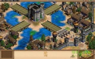 破解版帝国时代4改中文手机版  v1.12.7图2