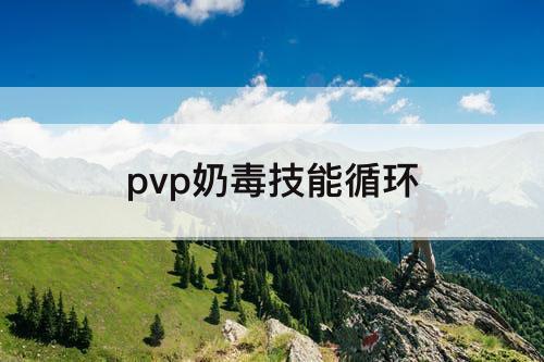 pvp奶毒技能循环