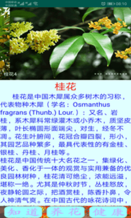 绿植花卉手机版