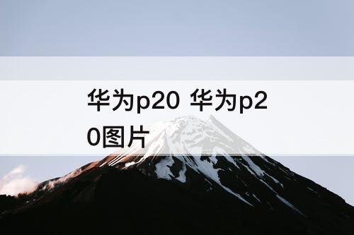 华为p20 华为p20图片
