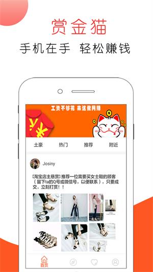 赏金猫app下载