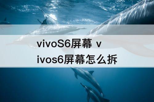 vivoS6屏幕 vivos6屏幕怎么拆