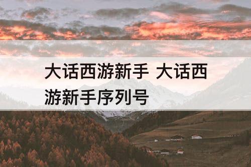 大话西游新手 大话西游新手序列号