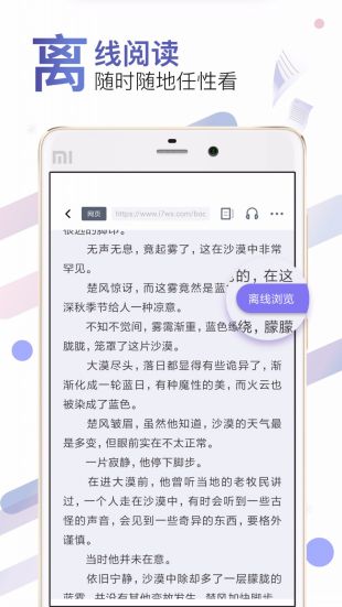 饭团小说Pro