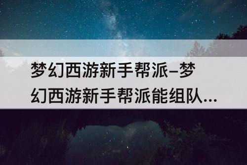 梦幻西游新手帮派-梦幻西游新手帮派能组队刷吗