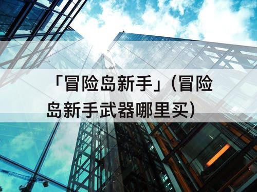「冒险岛新手」(冒险岛新手武器哪里买)