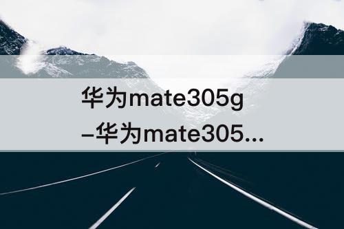 华为mate305g-华为mate305g手机配置参数