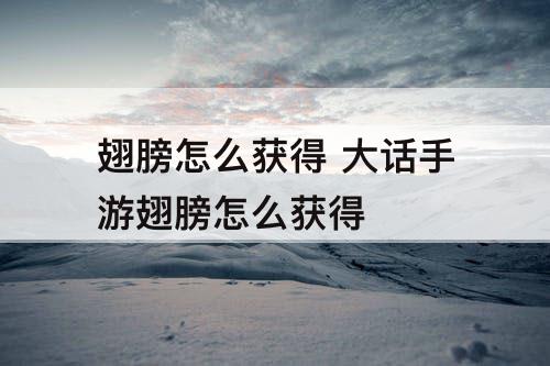 翅膀怎么获得 大话手游翅膀怎么获得