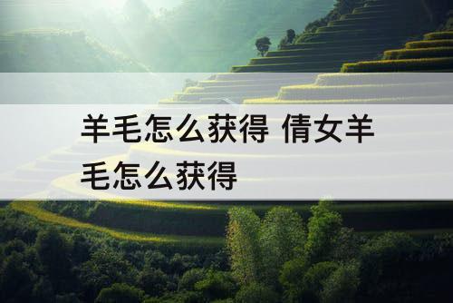 羊毛怎么获得 倩女羊毛怎么获得