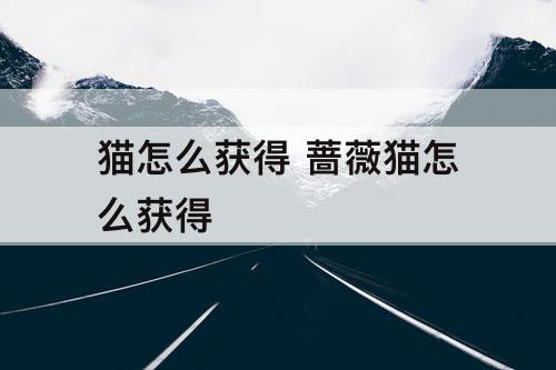 猫怎么获得 蔷薇猫怎么获得