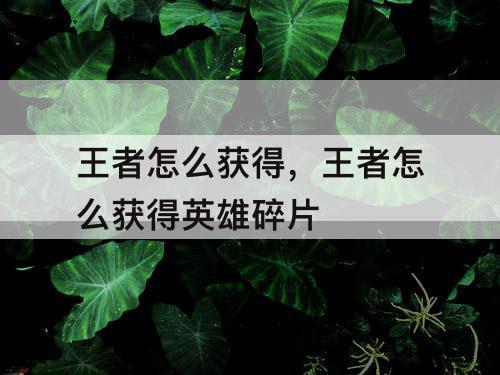 王者怎么获得，王者怎么获得英雄碎片