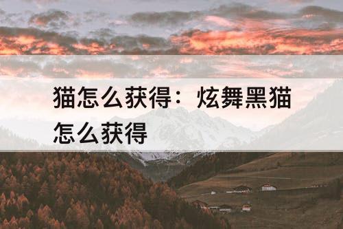 猫怎么获得：炫舞黑猫怎么获得