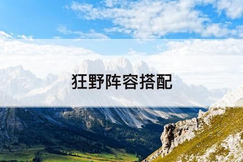 狂野阵容搭配
