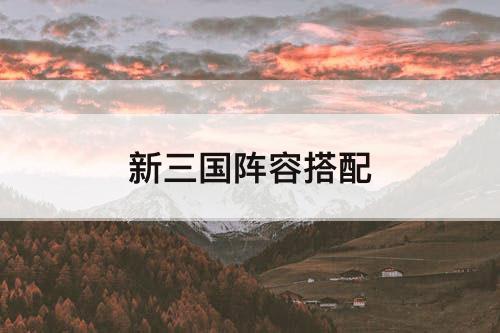 新三国阵容搭配