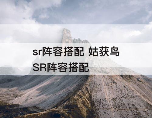 sr阵容搭配 姑获鸟SR阵容搭配